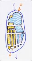 s-1-2